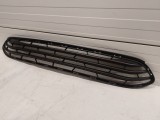Lower Grille